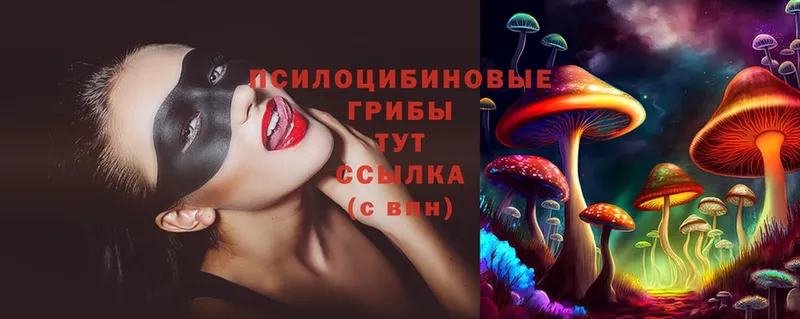 Галлюциногенные грибы Magic Shrooms  как найти   Белорецк 